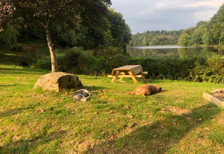 La Forge B&B Perret  外观 照片